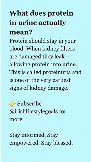 What is protein in urine?