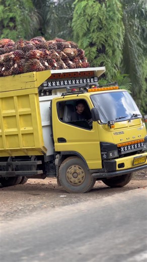 Truk Kalimantan: Cerita di Balik Setiap Perjalanan