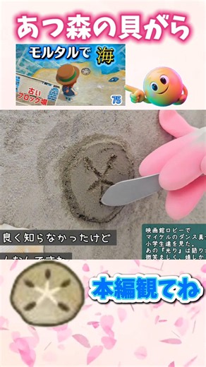 壁にあつ森の貝がら（サンドダラー）をモルタルで実装！ #庭作業 #リアルあつ森