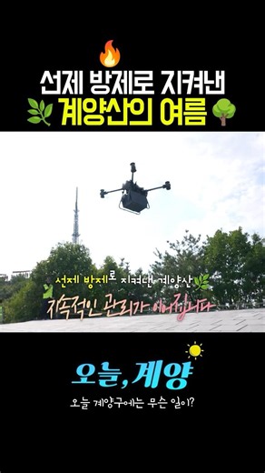 [오늘계양] 선제 방제로 지켜낸🔥 계양산의 여름🌿