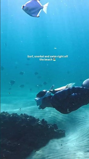 Swim, surf and snorkel on the Sunshine Coast