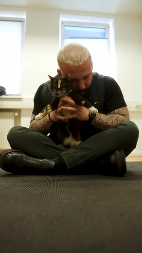 Cat with back pain 🥹🥹 • • • #foryou #asmr #animal #animals #chiroprac... | Bones Hands Animals