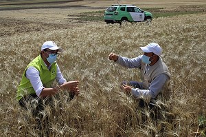 La Fondation OCP, acteur social majeur au service des communautés