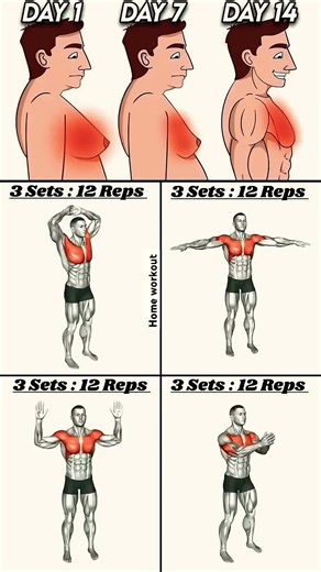Build a BIGGER Chest & Fatloss with This Amazing Workout!