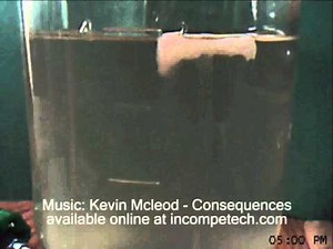 HIPS Dissolving Filament Experiment 1