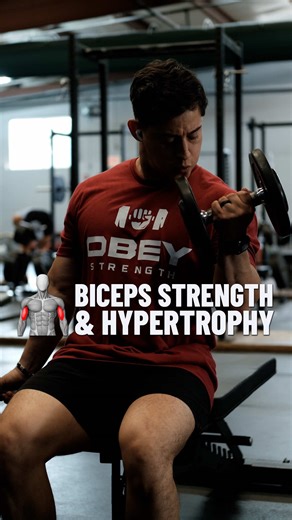 Biceps training doesn’t need to be complicated. We get a lot of biceps training from exercises like rod and pull ups but it’s also great to train them directly through isolation. Here are some of my favorite using just dumbbells and a cable machine 🔺Save these 🔺Comment your favorite bicep exercises below #strength #obeystrength #biceps #bicep #armday