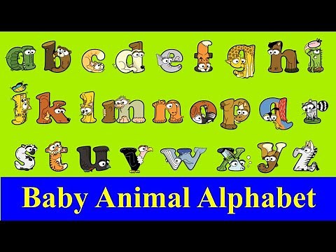 Baby Animal Alphabet / Cute baby animals A-Z / A-Z Baby animal flashcards / lower case Alphabetimals