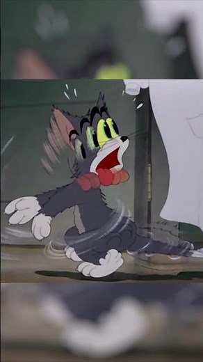 Tom 1, Tom 2, Tom 3 🤪 #TomenJerry #KorteVideo #Tekenfilm #Grappig #Cartoon #Cartoonito
