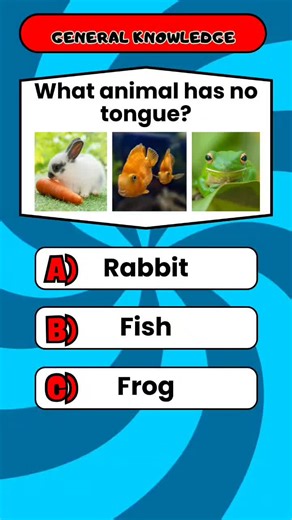 Challenging General Knowledge Quiz Questions