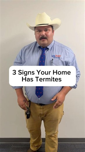 3️⃣ Signs Your Home MIGHT Have Termites😳