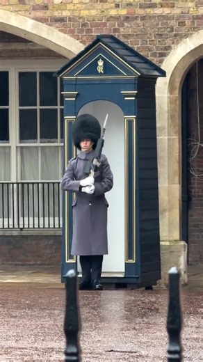 The Kings Guard Working In The Rain To Protect King Palace #king #guard #unitedkingdom #royalfamily