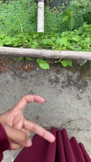 Art of Hand Gestures: Understanding the 'OK' Sign