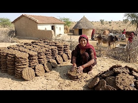 Real Desert Village Life | Woman Making Cow Dung Fuel Cakes in the Thar Desert 🐄🏜️🔥