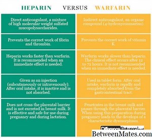 INR和APT - 健康 2025