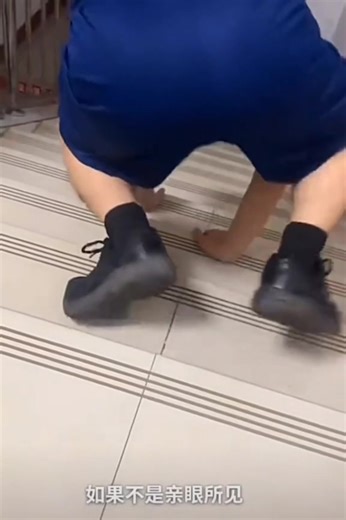 Siberian Husky Follows Owner Down Stairs