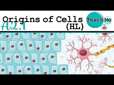 (A2.1) - Origins Of Cells - IB Biology (HL)