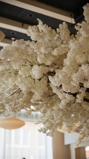 Janken | Dinner at Janken looks like this ✨ Best restaurants in downtown Portland, best dinner spots in Portland Oregon, best steak in pdx #pdx... | Instagram