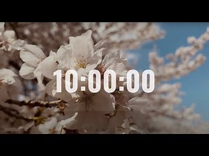 【10-hour relax】Deep Relaxation/cherry blossoms/ambient electronic music