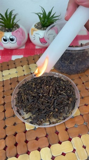 How to Make Homemade Candles with Coffee and Clove | DIY Candle Making