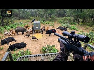EASY Feral Hog Control Methods That Actually WORK in US