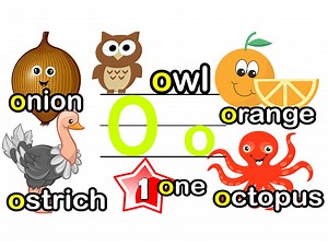 英文字母O | O is for Ox Owl Ocean Orange