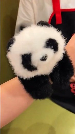 Panda, beautiful gift for everyone,shop now #gifts