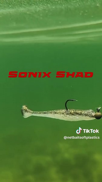Swimming with the Sonix Shad 🌊 Look at that tight wobble... mesmerizing...
