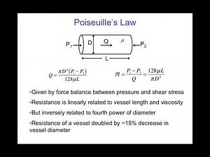 3.2 Introduction to the Biophysics of Blood Flow in the Circulation.