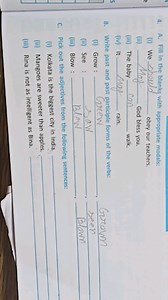 A. Fill in the blanks with appropriate modals:(i) We should\q... | Filo