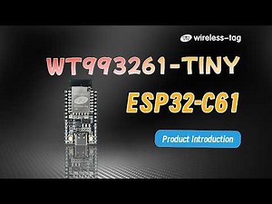 WT9932C61-TINY | ESP32-C61 Wi-Fi 6 RISC-V Development Board Overview