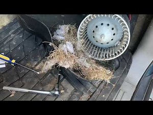 GMC Yukon Denali XL “Heater Fan” noise.