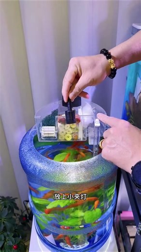 Low Budget DIY Fish Tank from a Water Bottle! 🐟♻️ Save Money & Go Eco-Friendly#DIYAquarium