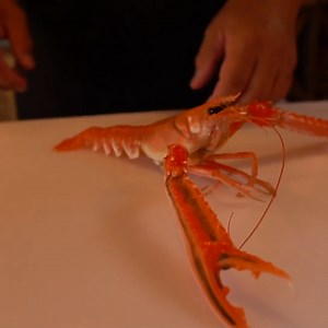 93K views · 932 reactions | Live Langoustine and Salmon Sashimi!  | Hiroyuki Terada - Sushi Master | Facebook