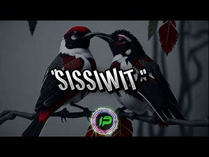 SISSIWIT LYRICS - IGOROT SONG
