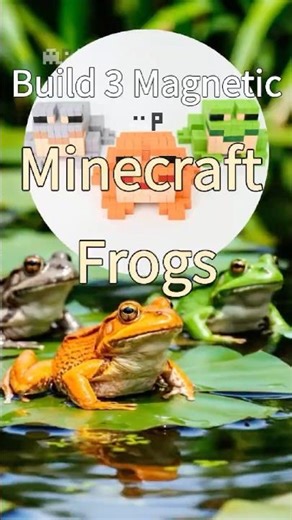 Built Three Minecraft Frogs with Magnetic Blocks | Bricks | Cubes. Sunbathing on Lily Pads 🐸