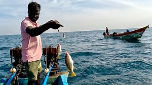 288K views · 2.4K reactions | We Caught Yellowtail Snapper, Orange-spotted Grouper & Humpback Red Snapper in the Sea | Neerulagam | Facebook