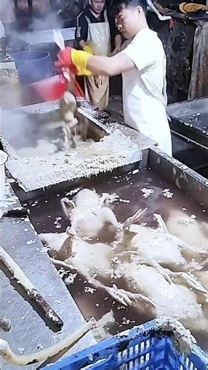 Behind the Scenes of Fast Food Preparation