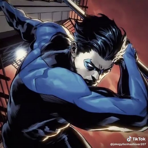 Nightwing Highlights: A Tribute Edit