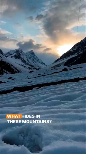 The Mountains Always Have a Story to Tell | Himalayan Brown Bears of Dras | Wild Wonders Expeditions