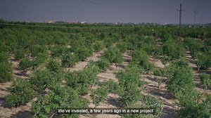 85K views · 30 reactions | The government-led megaprojects transforming Egyptian agriculture. | Bloomberg | Facebook