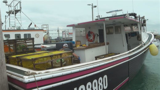 Cape Breton's lobster catch inconsistent
