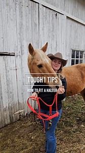 Proper halter fit is about more than just looks--it's vital for safety and better communcation. Tough1's Maddie explains how to properly fit a halter to your horse. | Tough1