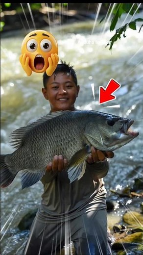 Caught big fish easily in the river #fishing #fishingmania #fish #storytelling