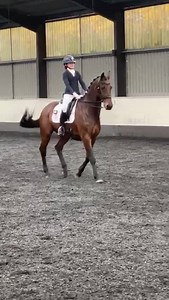 64K views · 3.4K reactions | Ruby had 4 Freestyle tests to remember...