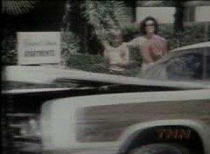 Alice TV 1976