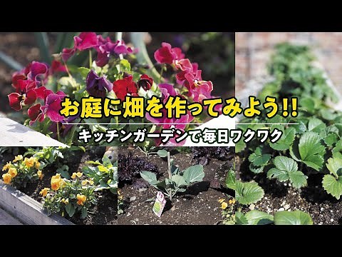 [DIY]お庭に畑を作ってみよう☆キッチンガーデン