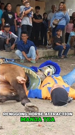 Horse dance attractions - video shorts youtube
