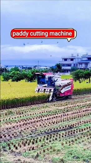 paddy cutting machine 💥 #shorts #trending #combineharvester