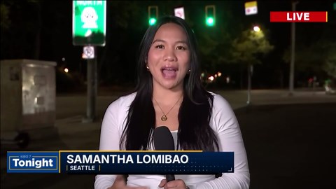 VIDEO: Seattle City Council approves real time camera expansion