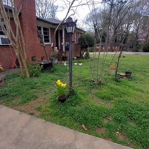 Pipí time | Princes